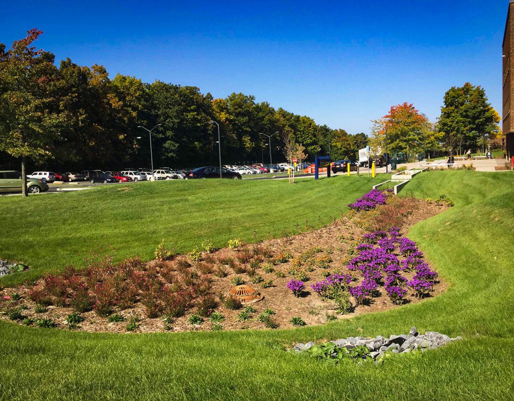 Onondaga CC